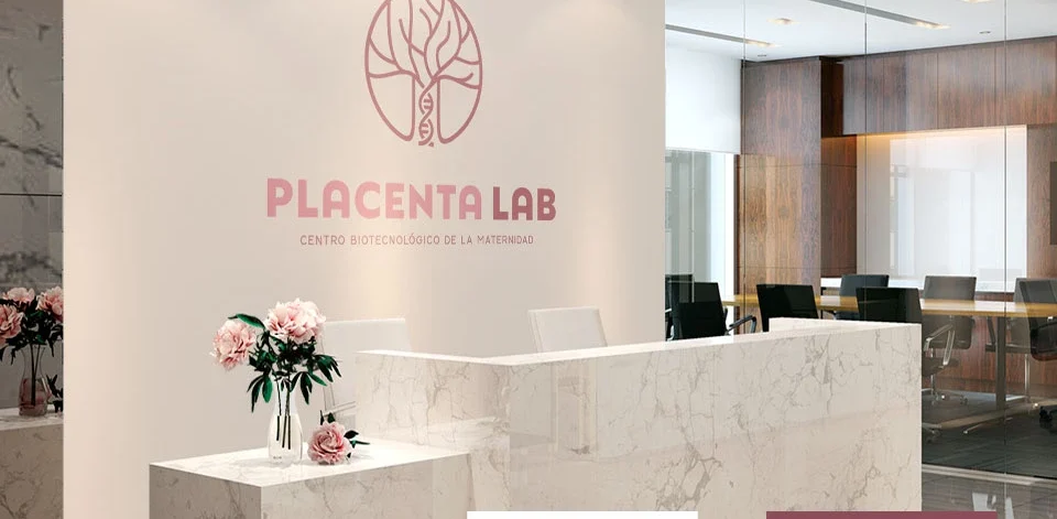 Agence Web Paris France - logo design